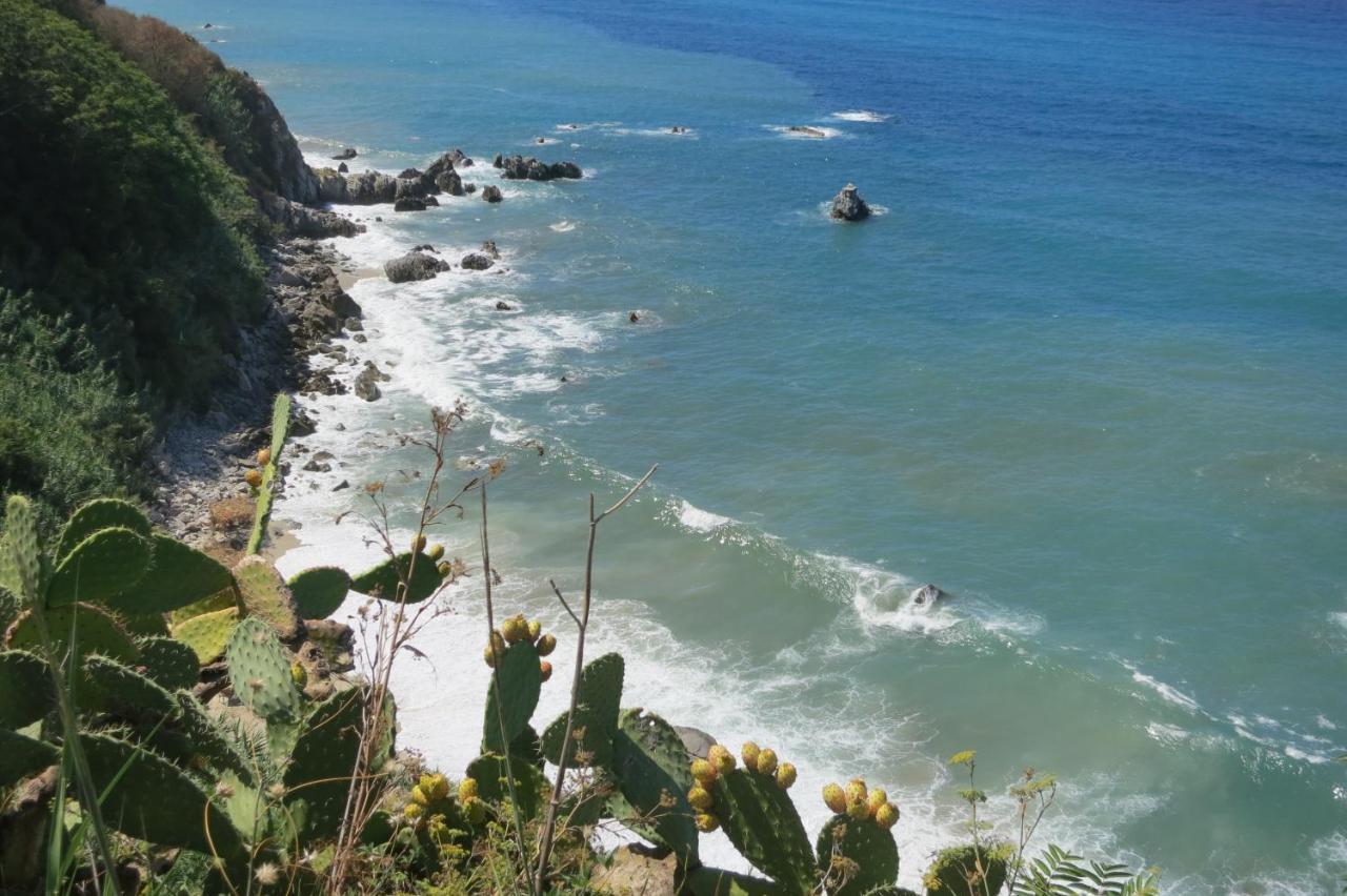 Il Limoneto, Casa Vacanze Parghelia-Tropea Villa Eksteriør bilde