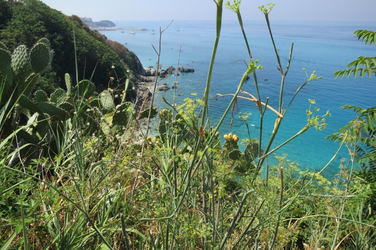 Il Limoneto, Casa Vacanze Parghelia-Tropea Villa Eksteriør bilde