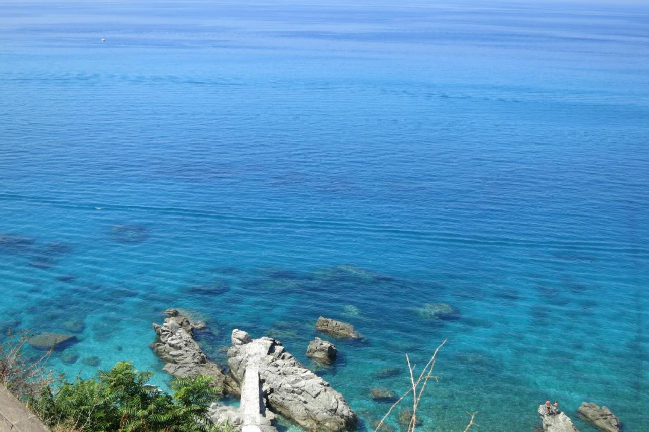 Il Limoneto, Casa Vacanze Parghelia-Tropea Villa Eksteriør bilde